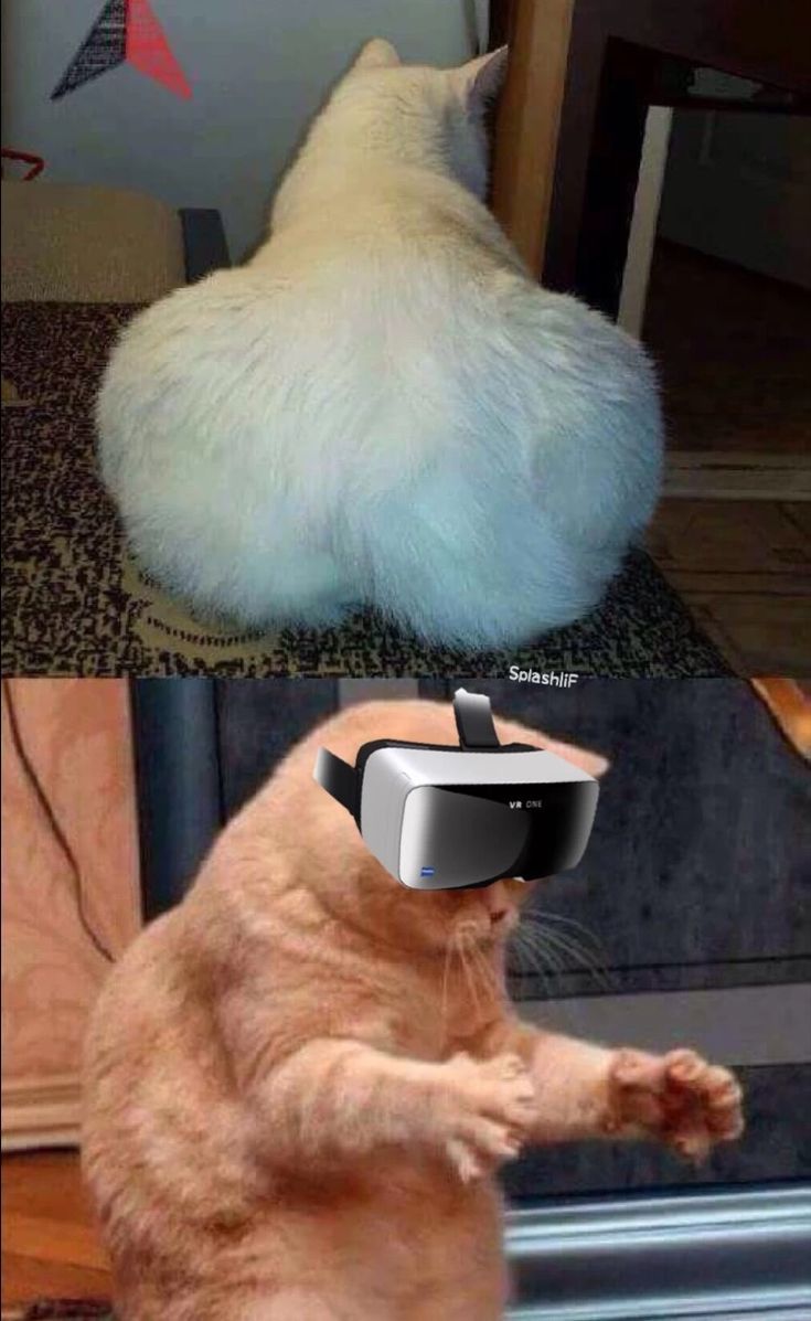 1000568220.jpg