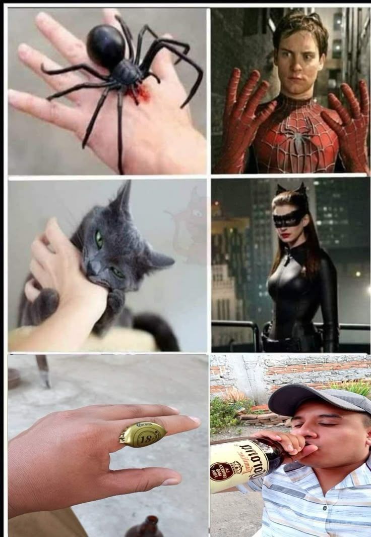 1000568222.jpg