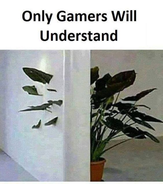 1000568266.jpg