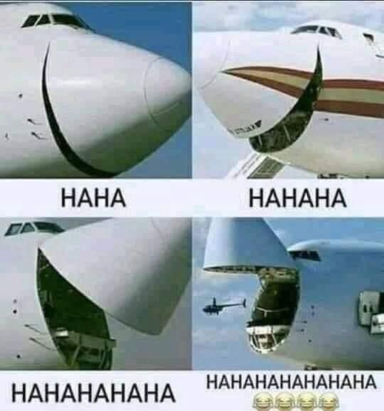 1000568256.jpg