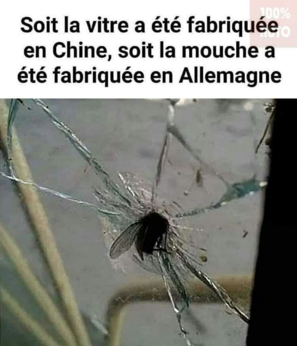 a0b03ef549cf0f62b7f2bc31480314df.jpg